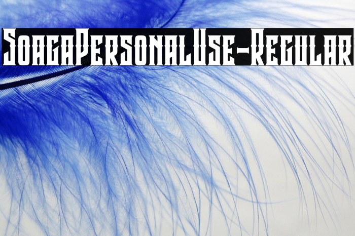 SoagaPersonalUse-Regular Example 2