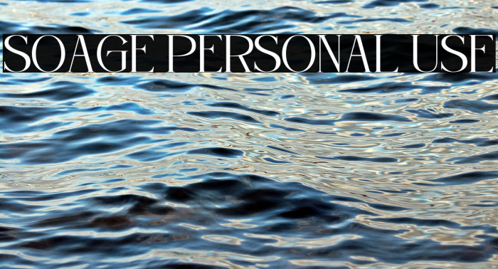 Soage Personal Use Example 2