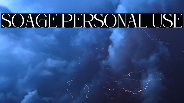 Soage Personal Use Example 3