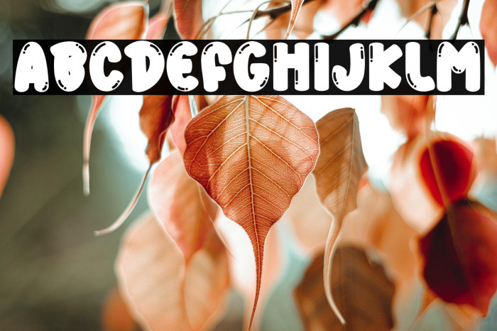 Soap Bubble Example 1