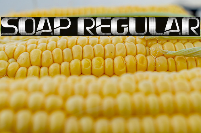 Soap Regular Example 3