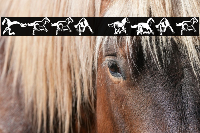 Soavaly Regular Example 3