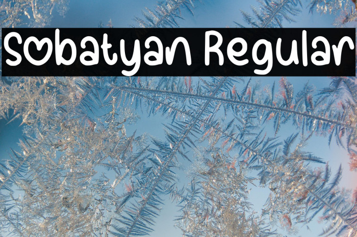 Sobatyan Regular Example 1