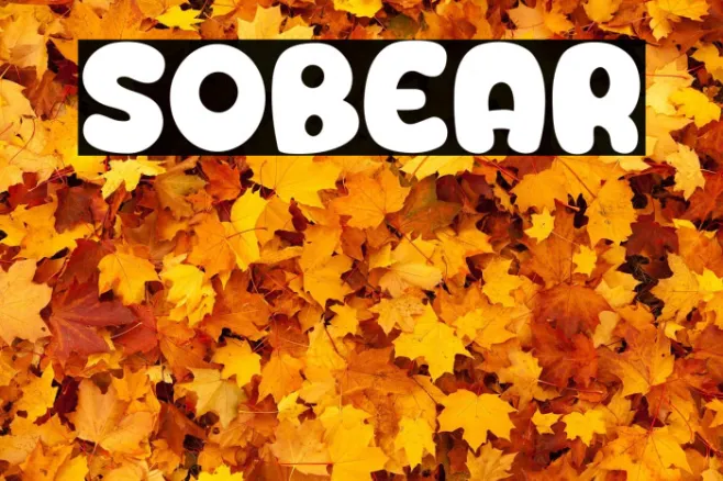 Sobear Example 2