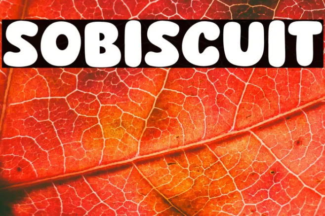 Sobiscuit Example 2