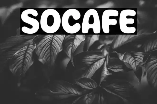 Socafe Polices examples