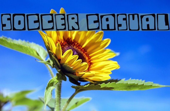 Soccer Casual Font examples
