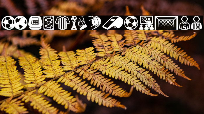 Soccer Icons Example 3