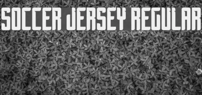 Soccer Jersey Regular Font examples