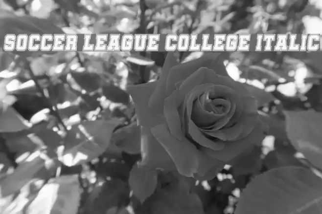 Soccer League College Italic Font examples