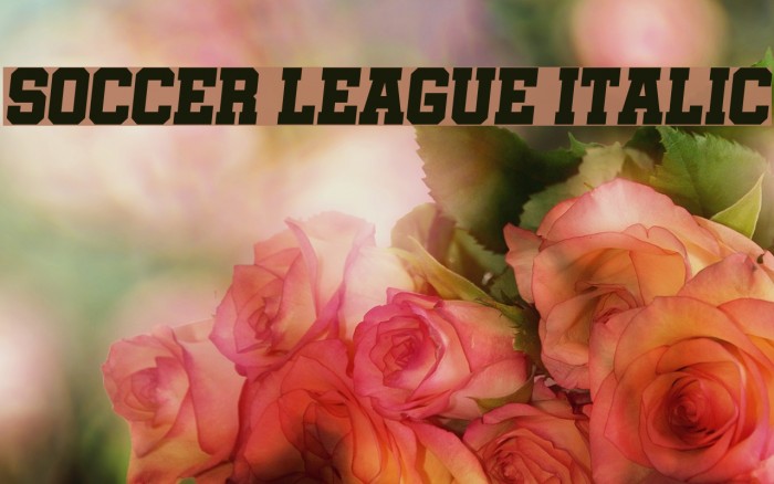 Soccer League Italic Example 1