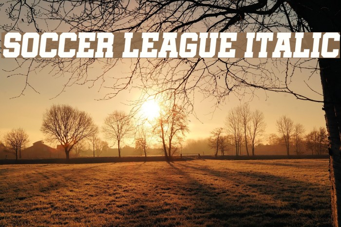 Soccer League Italic Example 3