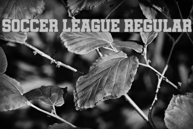 Soccer League Regular Font examples