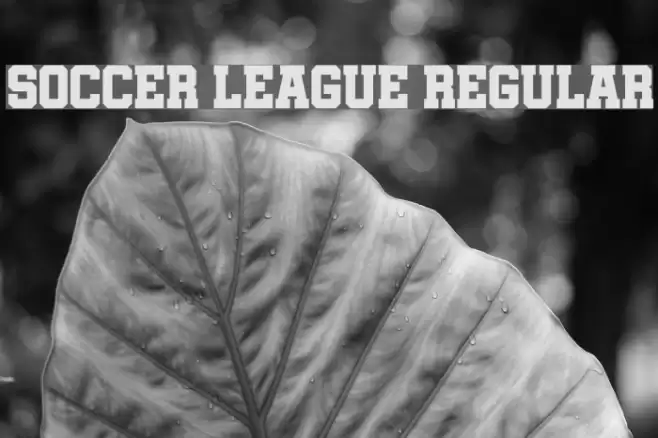 Soccer League Regular Font examples