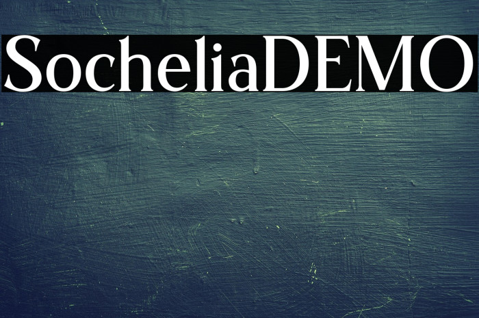 SocheliaDEMO Example 1