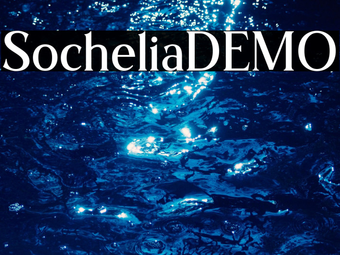 SocheliaDEMO Example 2