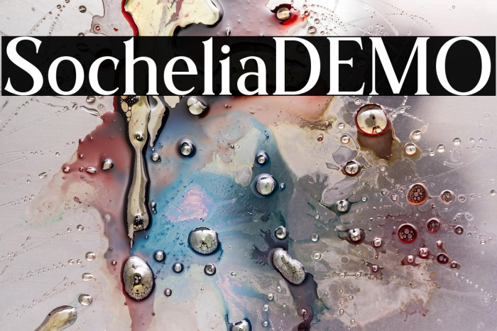 SocheliaDEMO Example 3