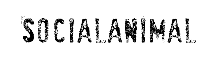SociaLAnimaL  baixar fontes gratis