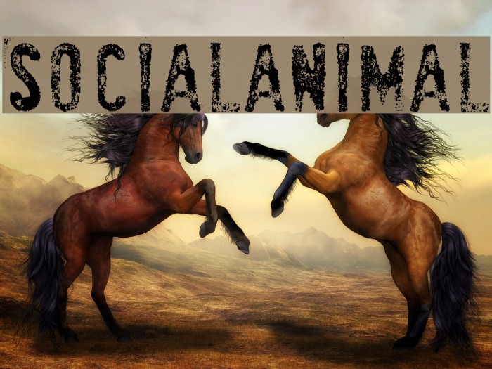 SociaLAnimaL Font examples