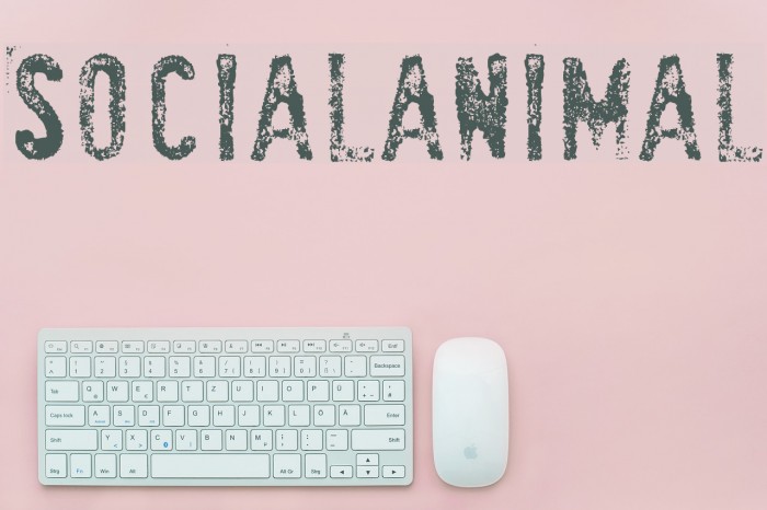 SociaLAnimaL Font examples