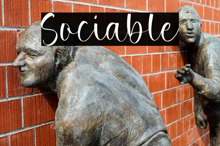 Sociable Example 1
