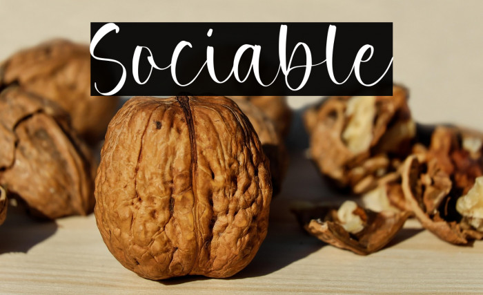 Sociable Example 3