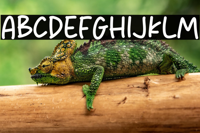 Social Act Example 2