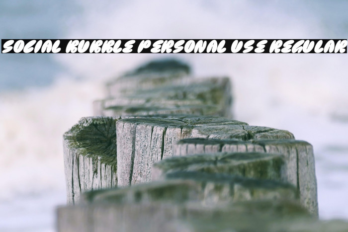 Social Bubble PERSONAL USE Regular Example 1