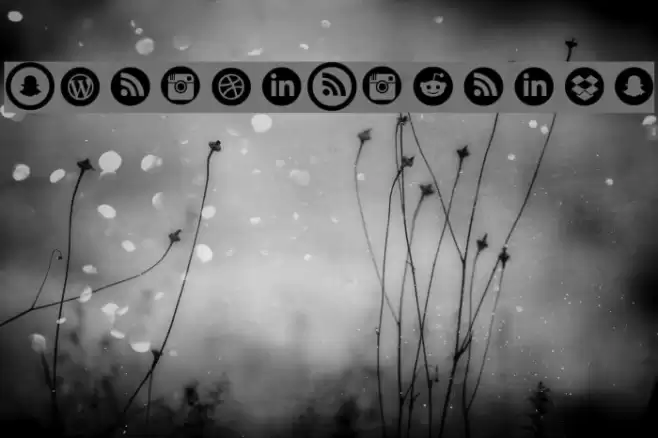 Social Circles Font examples