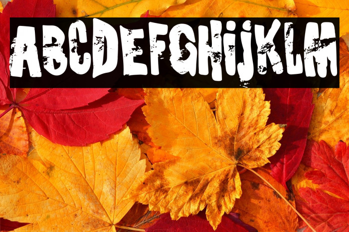 Social Crisis Example 1