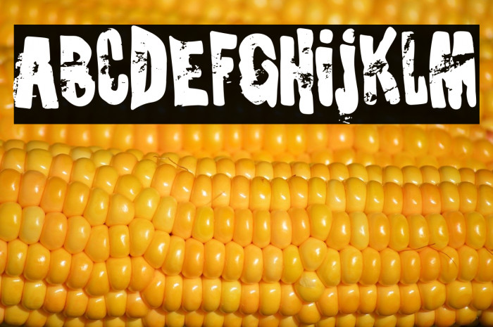 Social Crisis Example 3