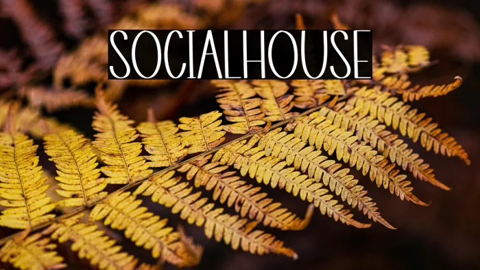 Social House Example 1
