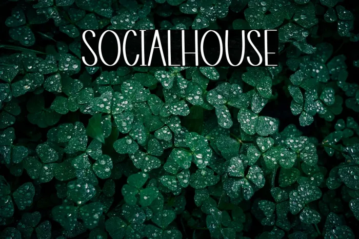 Social House Example 2