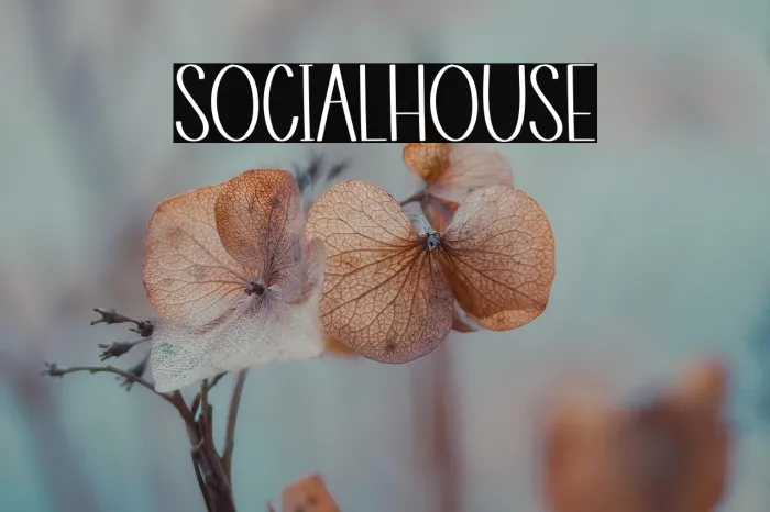 Social House Example 3