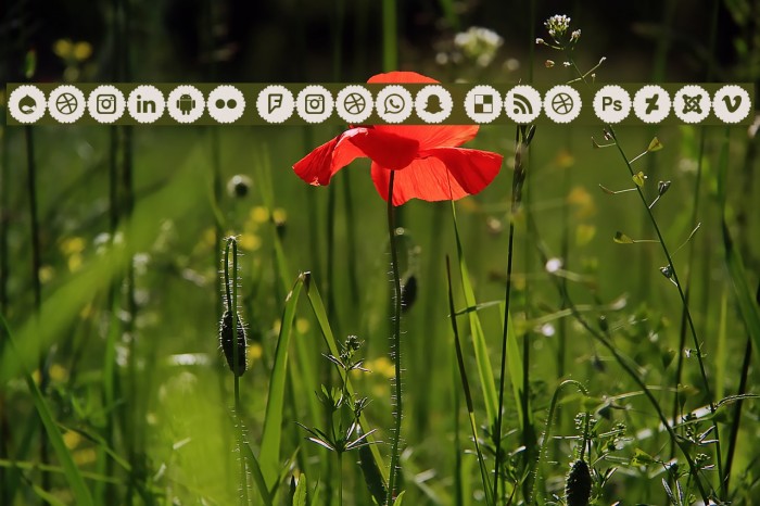 Social Icons Pro 2019 Font examples