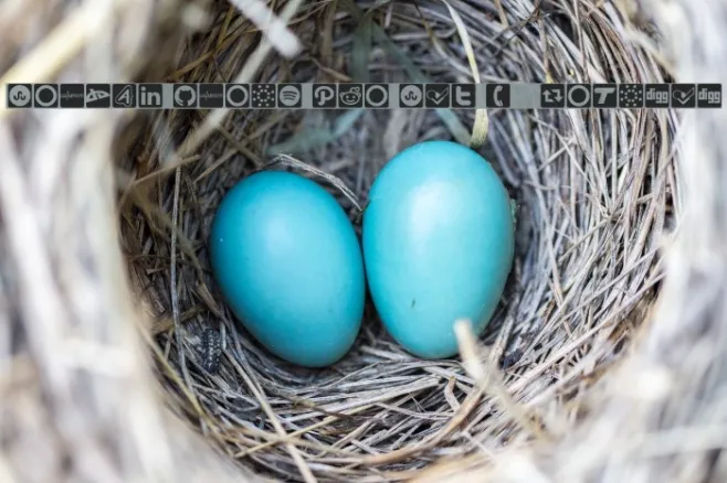 Social Icons Pro Set 1 - Rounded Example 2