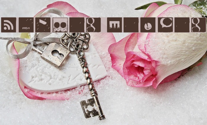 Social Manual Example 1