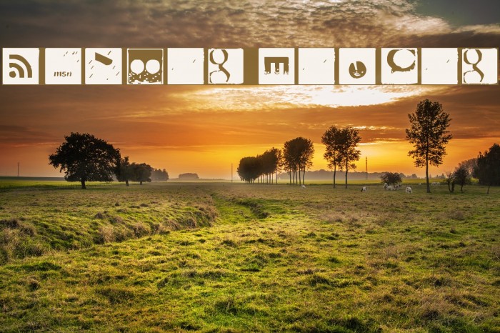 Social Manual Example 2