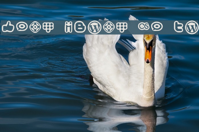 Social Media Icons Bold Example 1