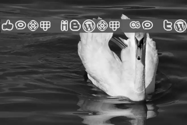 Social Media Icons Bold Font examples