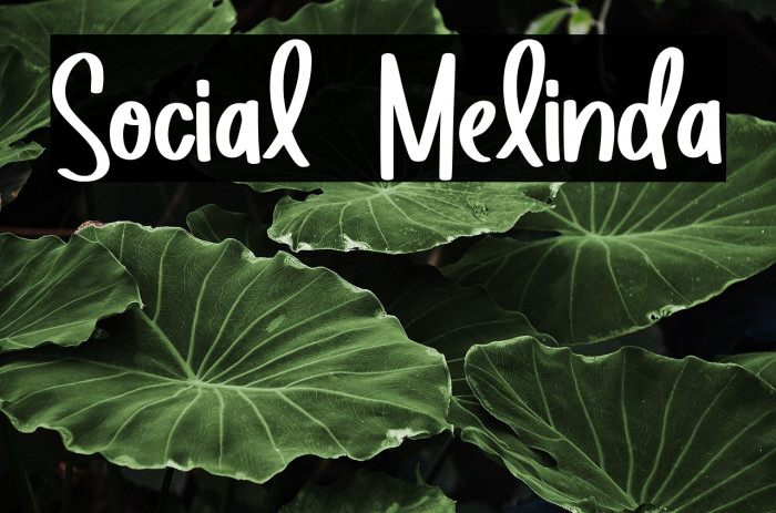 Social Melinda Example 1