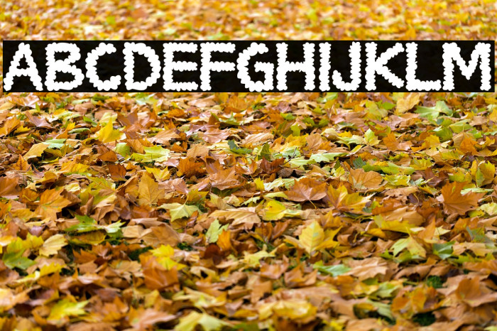 Social Monster Normal Font examples