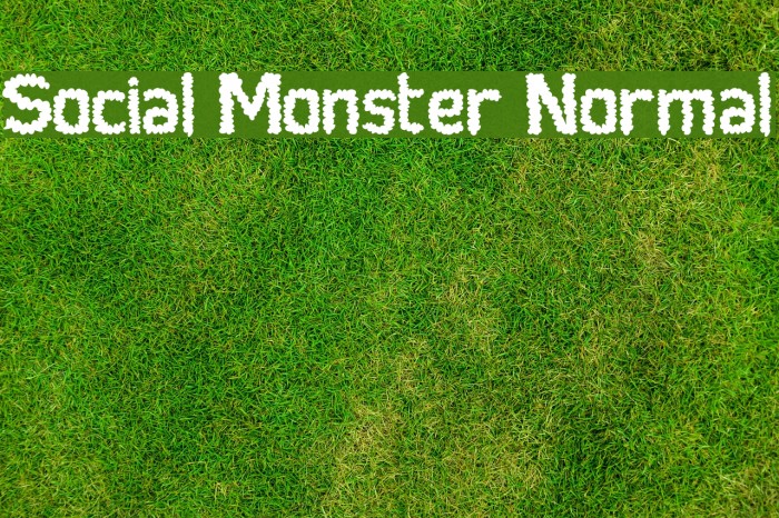 Social Monster Normal Font examples