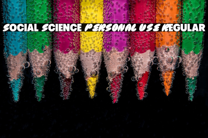 Social Science PERSONAL USE Regular Example 1