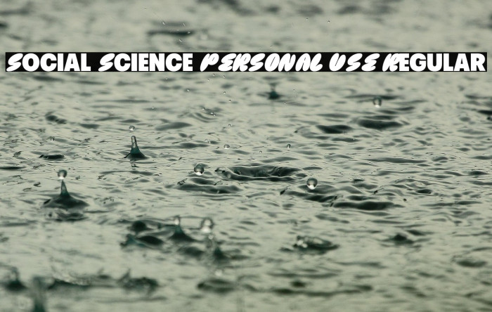 Social Science PERSONAL USE Regular Example 2