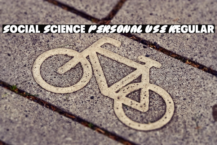 Social Science PERSONAL USE Regular Example 3