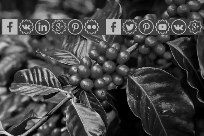Social Shapes Fonte examples