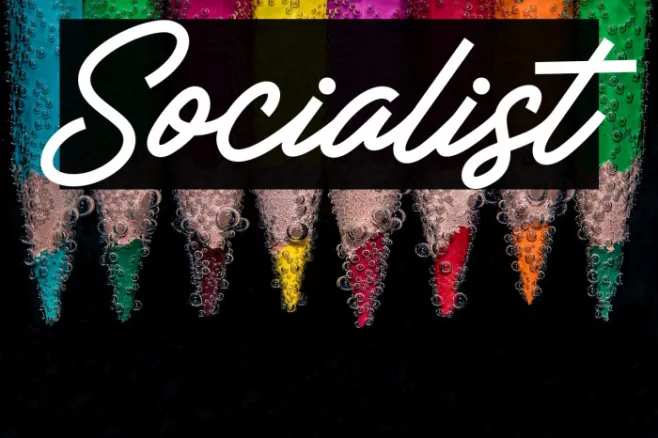 Socialist Example 2