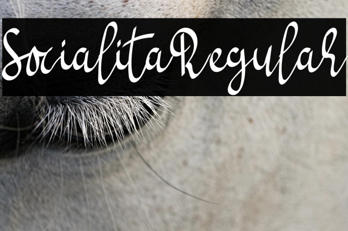 SocialitaRegular Example 3