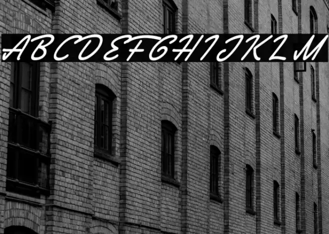 Society Editor Personal Use 字体 examples